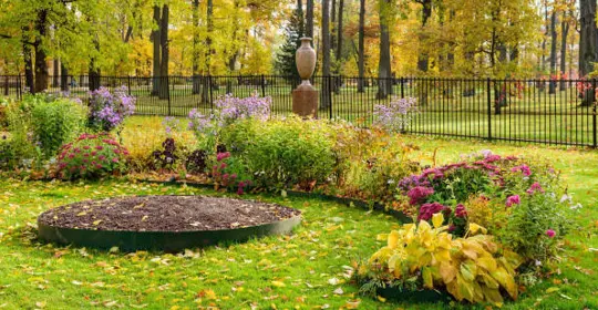 lawn in the fall covered with leaves